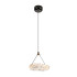 Подвесной светильник Modestyle MS.2330.1 BK Подвесной светильник Modestyle MS.2330.1 BK