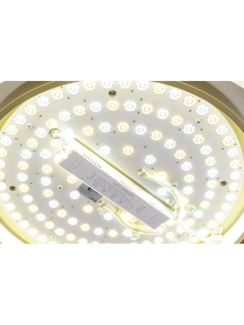 Потолочный светильник Zortes Adel ZRS.1200.01