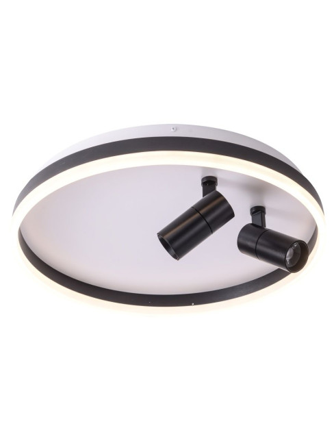 Потолочный светильник Zortes Raizy ZRS.1888.01 Потолочный светильник Zortes Raizy ZRS.1888.01