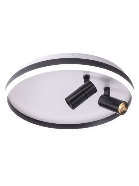 Потолочный светильник Zortes Raizy ZRS.1888.01 Потолочный светильник Zortes Raizy ZRS.1888.01