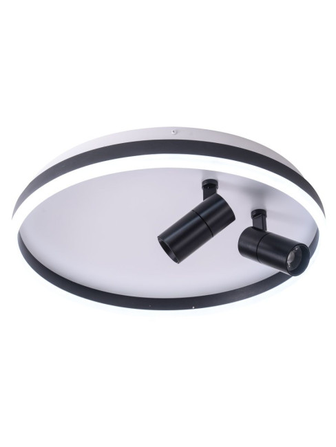 Потолочный светильник Zortes Raizy ZRS.1888.01 Потолочный светильник Zortes Raizy ZRS.1888.01