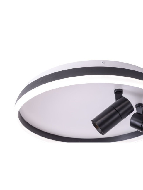 Потолочный светильник Zortes Raizy ZRS.1888.01 Потолочный светильник Zortes Raizy ZRS.1888.01