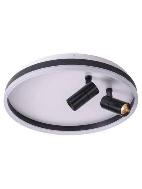 Потолочный светильник Zortes Raizy ZRS.1888.01 Потолочный светильник Zortes Raizy ZRS.1888.01