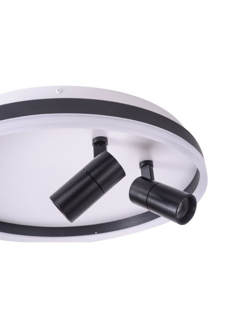 Потолочный светильник Zortes Raizy ZRS.1888.01 Потолочный светильник Zortes Raizy ZRS.1888.01