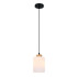 Подвесной светильник Escada Spirit 160002/A/1P Black ES0000015 Подвесной светильник Escada Spirit 160002/A/1P Black ES0000015