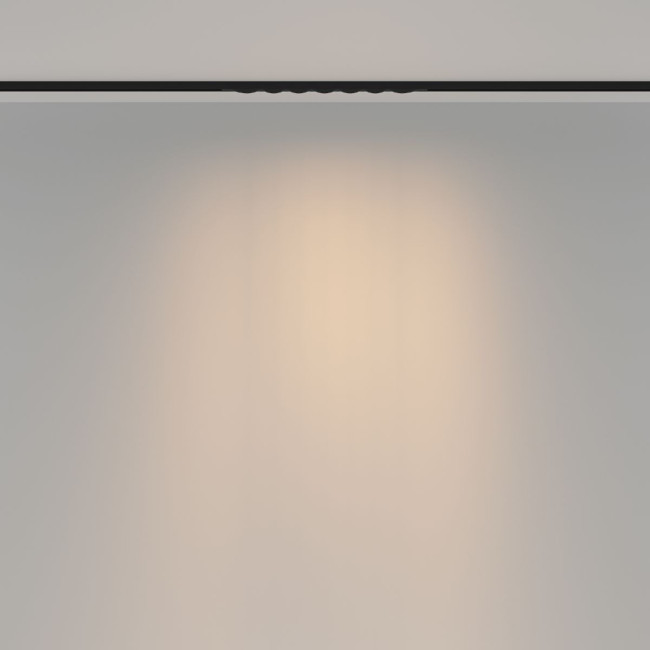 Трековый магнитный светильник Maytoni Spiky TR175-1-12WTW-M-B