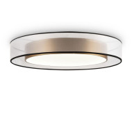 Потолочный светильник Freya Zoticus FR6005CL-L48G