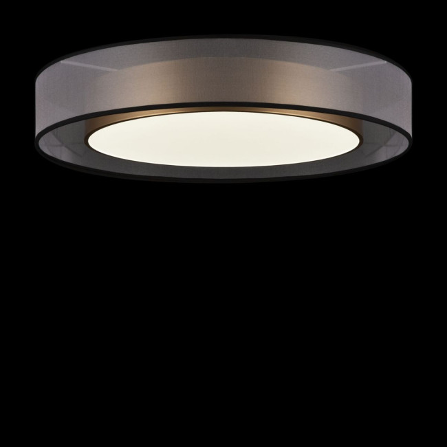 Потолочный светильник Freya Zoticus FR6005CL-L48G