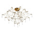 Потолочная люстра ST Luce Gravetta SL6601.202.78 Потолочная люстра ST Luce Gravetta SL6601.202.78