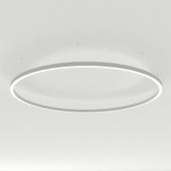 Подвесной светильник Arlight SP-Line-Hang-Arc-O3535-D1500-124W Day4000 034013(2)