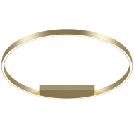 Потолочная люстра Maytoni Rim MOD058CL-L50BSK