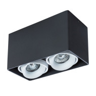 Потолочный светильник Arte Lamp Pictor A5654PL-2BK Потолочный светильник Arte Lamp Pictor A5654PL-2BK