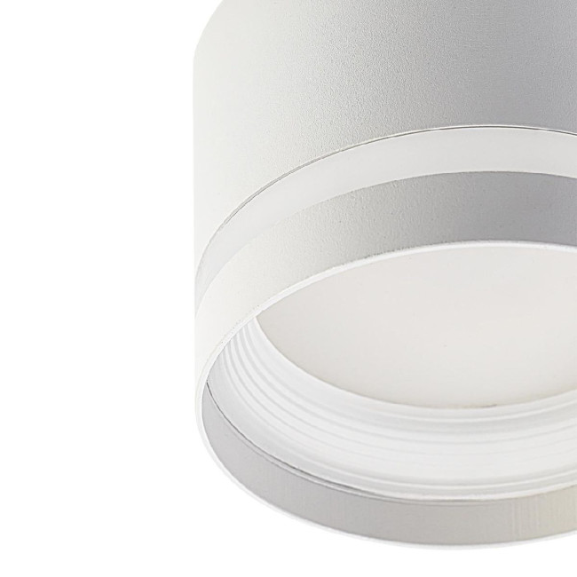 Накладной светильник Citilux Hardy CL002C10