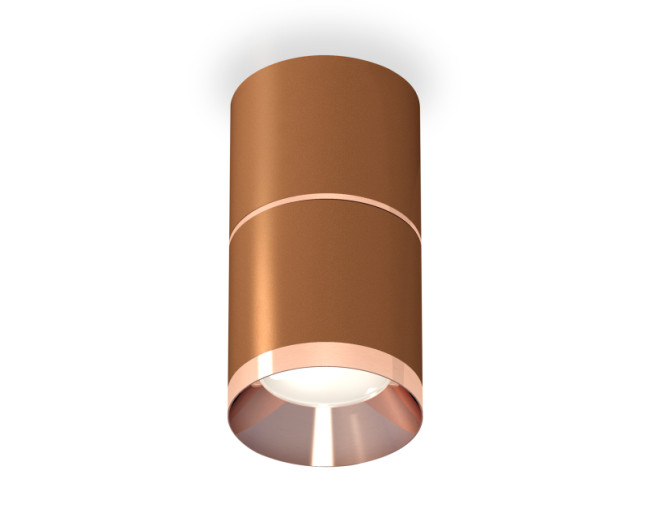 Потолочный светильник Ambrella Light Techno Spot XS7404081 (C7404, A2073, C7404, N7035) Потолочный светильник Ambrella Light Techno Spot XS7404081 (C7404, A2073, C7404, N7035)
