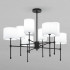 Люстра на штанге Eurosvet Notturno 60162/8 черный Smart a065663
