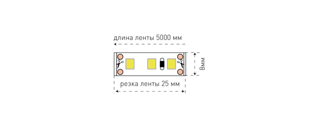 Светодиодная лента SWG SWG3120-12-9.6-G-M 009699 Светодиодная лента SWG SWG3120-12-9.6-G-M 009699