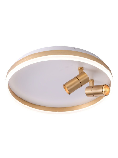 Потолочный светильник Zortes Raizy ZRS.1888.02 Потолочный светильник Zortes Raizy ZRS.1888.02