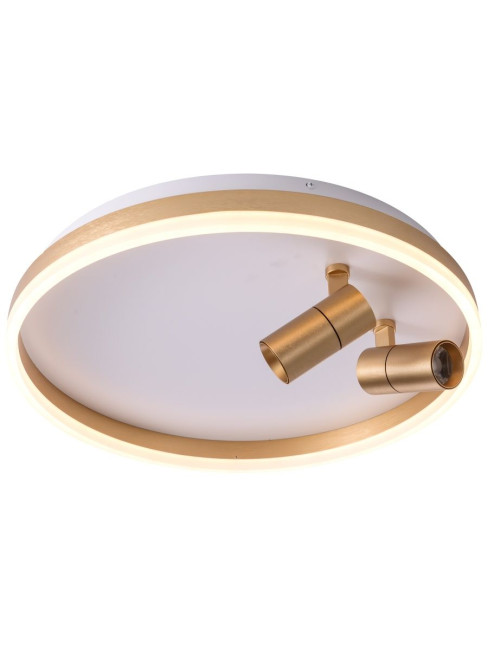 Потолочный светильник Zortes Raizy ZRS.1888.02 Потолочный светильник Zortes Raizy ZRS.1888.02