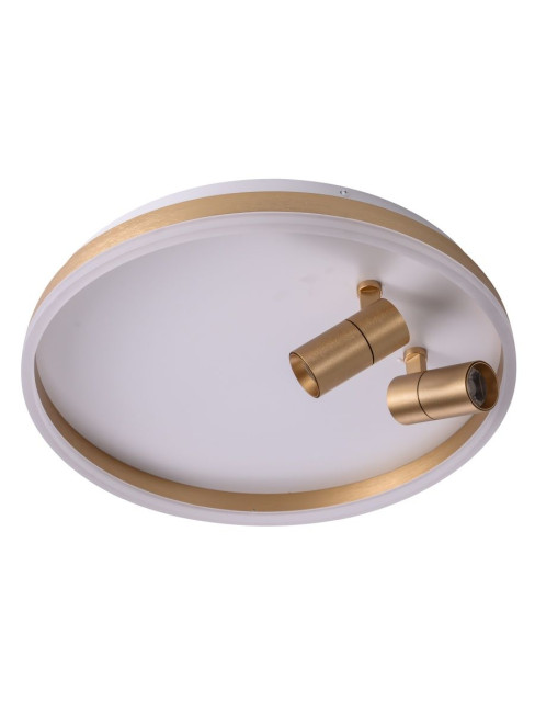 Потолочный светильник Zortes Raizy ZRS.1888.02 Потолочный светильник Zortes Raizy ZRS.1888.02