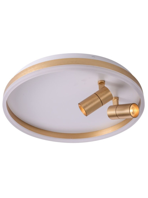 Потолочный светильник Zortes Raizy ZRS.1888.02 Потолочный светильник Zortes Raizy ZRS.1888.02