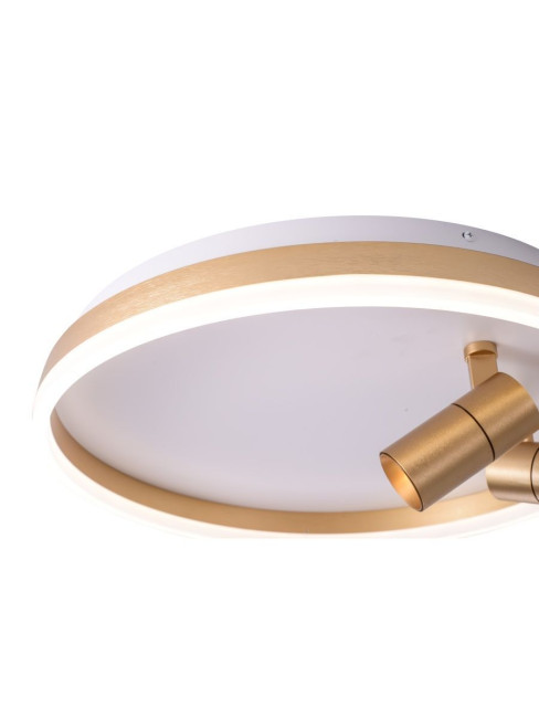 Потолочный светильник Zortes Raizy ZRS.1888.02 Потолочный светильник Zortes Raizy ZRS.1888.02