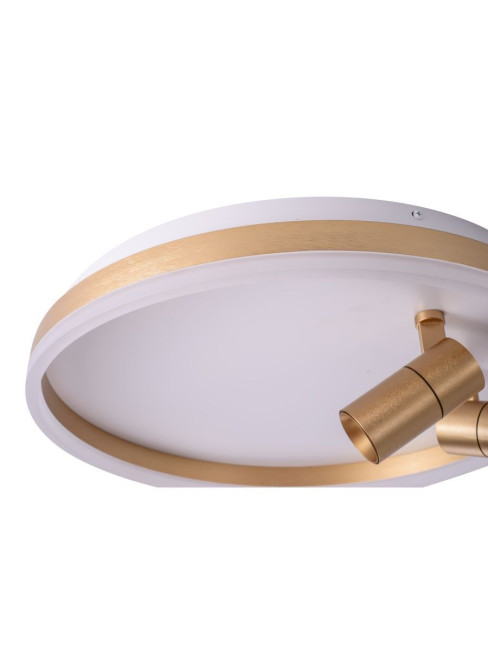 Потолочный светильник Zortes Raizy ZRS.1888.02 Потолочный светильник Zortes Raizy ZRS.1888.02