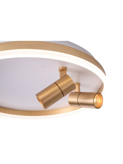 Потолочный светильник Zortes Raizy ZRS.1888.02 Потолочный светильник Zortes Raizy ZRS.1888.02