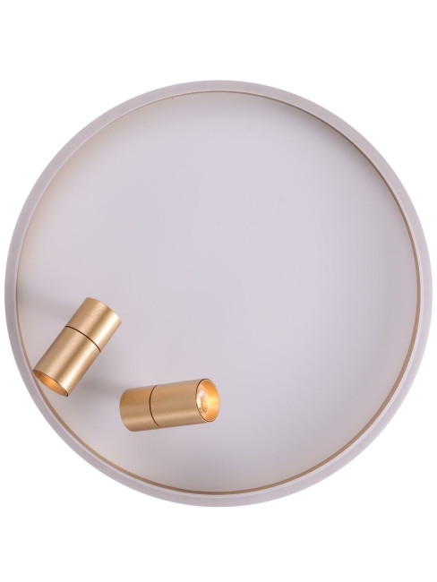 Потолочный светильник Zortes Raizy ZRS.1888.02 Потолочный светильник Zortes Raizy ZRS.1888.02