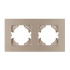 Рамка на 2 поста пластиковая Arlight FRM-PERIO-PL-2-GD 049753 Рамка на 2 поста пластиковая Arlight FRM-PERIO-PL-2-GD 049753