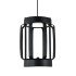 Подвесной светильник Indigo Capsula 14027/6P Black V000157L Подвесной светильник Indigo Capsula 14027/6P Black V000157L