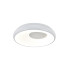 Потолочный светильник Indigo Cratere 14016/1С White V000152L Потолочный светильник Indigo Cratere 14016/1С White V000152L