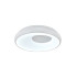 Потолочный светильник Indigo Cratere 14016/1С White V000152L Потолочный светильник Indigo Cratere 14016/1С White V000152L