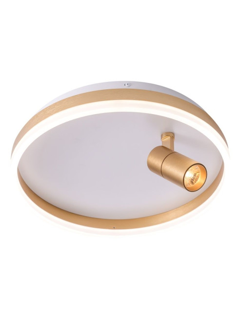 Потолочный светильник Zortes Raizy ZRS.1888.04 Потолочный светильник Zortes Raizy ZRS.1888.04