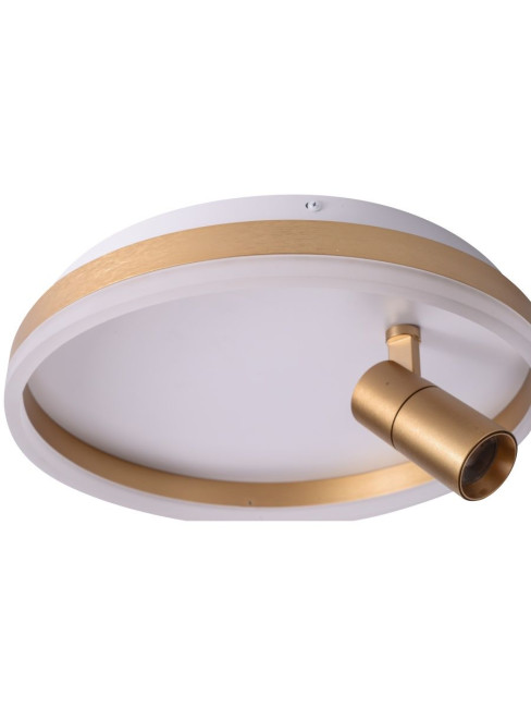 Потолочный светильник Zortes Raizy ZRS.1888.04 Потолочный светильник Zortes Raizy ZRS.1888.04