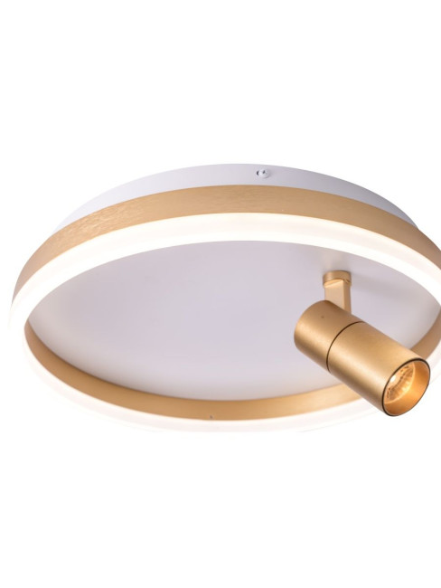 Потолочный светильник Zortes Raizy ZRS.1888.04 Потолочный светильник Zortes Raizy ZRS.1888.04