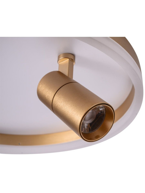 Потолочный светильник Zortes Raizy ZRS.1888.04 Потолочный светильник Zortes Raizy ZRS.1888.04