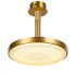 Потолочный светильник Delight Collection MX18006004-1A gold Потолочный светильник Delight Collection MX18006004-1A gold