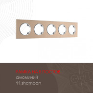 Рамка пятиместная Arte Milano 502.11-5.shampan
