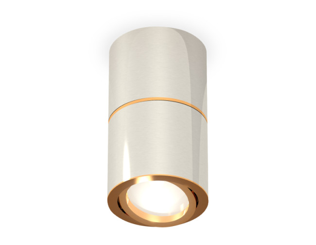 Потолочный светильник Ambrella Light Techno Spot XS7405060 (C7405, A2072, C7405, N7004) Потолочный светильник Ambrella Light Techno Spot XS7405060 (C7405, A2072, C7405, N7004)