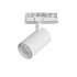 Светильник для трековой системы Quattro LED 15G с адаптером Lightstar Alta Base A5146QT15G Светильник для трековой системы Quattro LED 15G с адаптером Lightstar Alta Base A5146QT15G