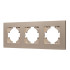 Рамка на 3 поста пластиковая Arlight FRM-PERIO-PL-3-GD 049757 Рамка на 3 поста пластиковая Arlight FRM-PERIO-PL-3-GD 049757