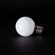 Лампа филаментная для Белт-Лайт E27 2W 2700К Laitcom (LTC) G45-E27-5SMD-24V