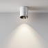Накладной светильник Maytoni Alfa led C064CL-12W4K-RD-WB Накладной светильник Maytoni Alfa led C064CL-12W4K-RD-WB