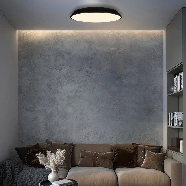 Потолочный светильник Loft IT Brim 10226 Black Потолочный светильник Loft IT Brim 10226 Black