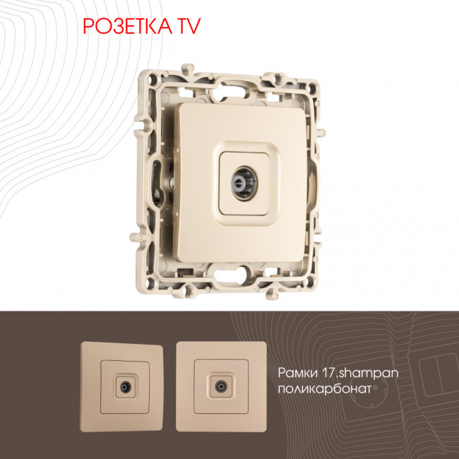 Розетка TV Arte Milano 217.43-1.shampan Розетка TV Arte Milano 217.43-1.shampan