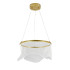 Подвесной светильник Indigo Veletta 14029/1P Gold V000164L Подвесной светильник Indigo Veletta 14029/1P Gold V000164L
