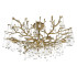 Люстра на штанге Loft IT Coral 10351/800C AB Люстра на штанге Loft IT Coral 10351/800C AB