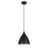 Подвесной светильник Arte Lamp Lark A7075SP-1BK