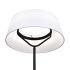 Настольная лампа Escada Verve 130001/1T LED 13W Black ES0002802L Настольная лампа Escada Verve 130001/1T LED 13W Black ES0002802L