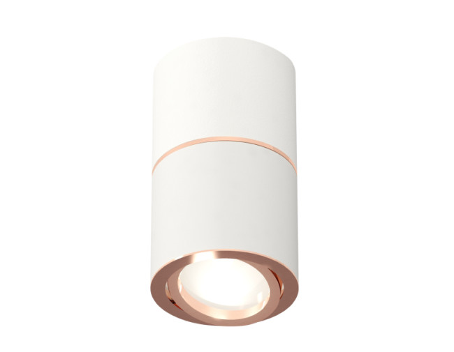 Потолочный светильник Ambrella Light Techno Spot XS7401220 (C7401, A2073, C7401, N7005) Потолочный светильник Ambrella Light Techno Spot XS7401220 (C7401, A2073, C7401, N7005)